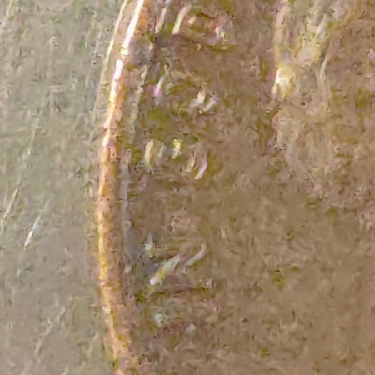 1976-D-Penny-Maybe-Worth-Looking-At-For-A-DDO